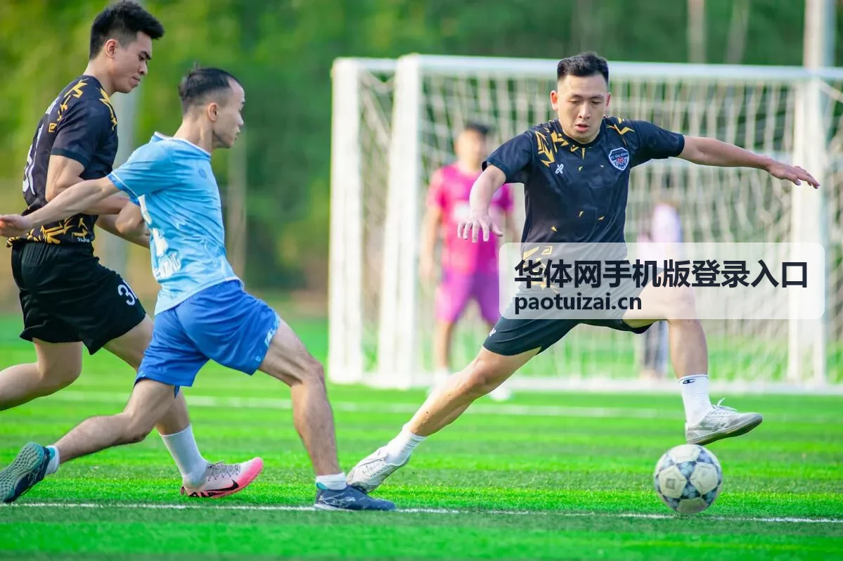 弱网环境下手机版登录入口加载中断处理