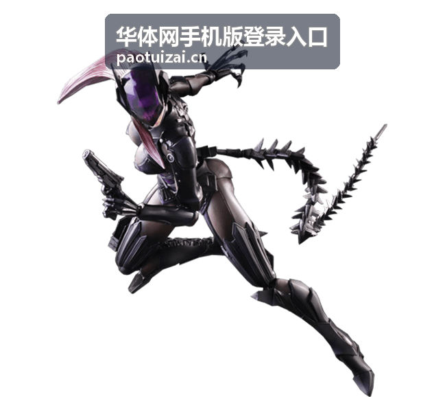 华体网手机版登录入口异常排查步骤示意